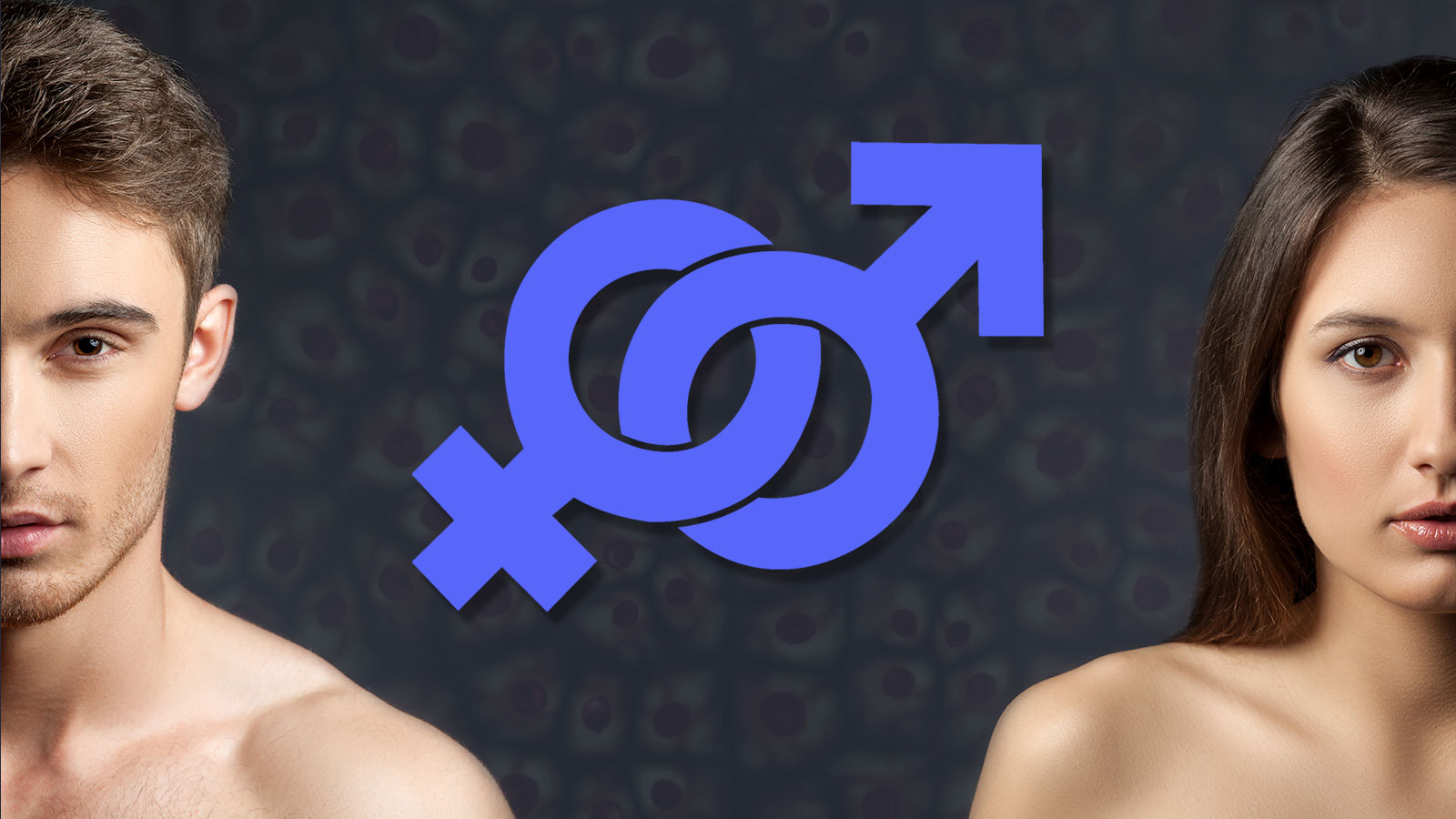 Sexual Wellness